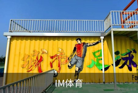 IM体育概况